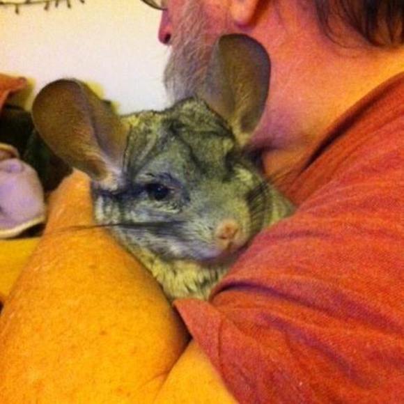 Meet your Posher, David - Picture 1 of 1